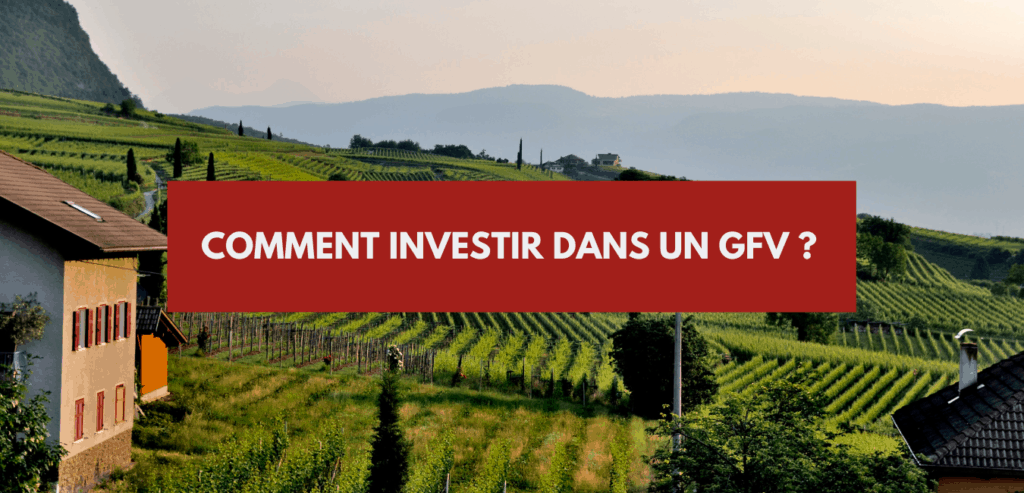 GFV : investir dans un Groupement Foncier Viticole