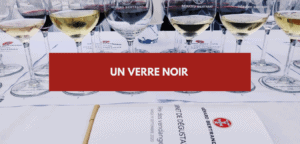 Lire la suite à propos de l’article Verre noir : l&rsquo;accessoire pour vos dégustations à l&rsquo;aveugle