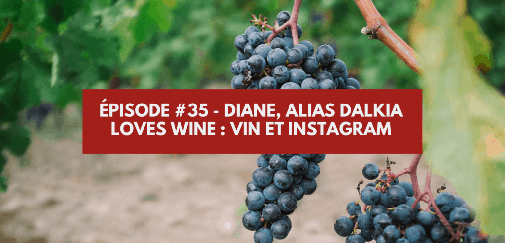 Épisode #35 - Diane, alias Dalkia Loves Wine _ Vin et Instagram