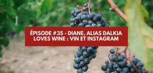 Lire la suite à propos de l’article Épisode #35 – Diane, alias Dalkia loves wine : vin et Instagram