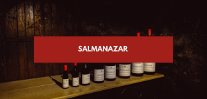 Lire la suite à propos de l’article Salmanazar