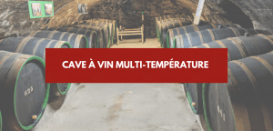 Lire la suite à propos de l’article Cave à vin Multi-Température