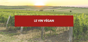 Lire la suite à propos de l’article Vin vegan