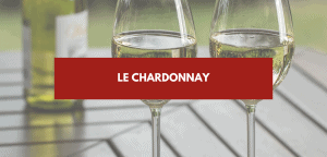 Lire la suite à propos de l’article Chardonnay