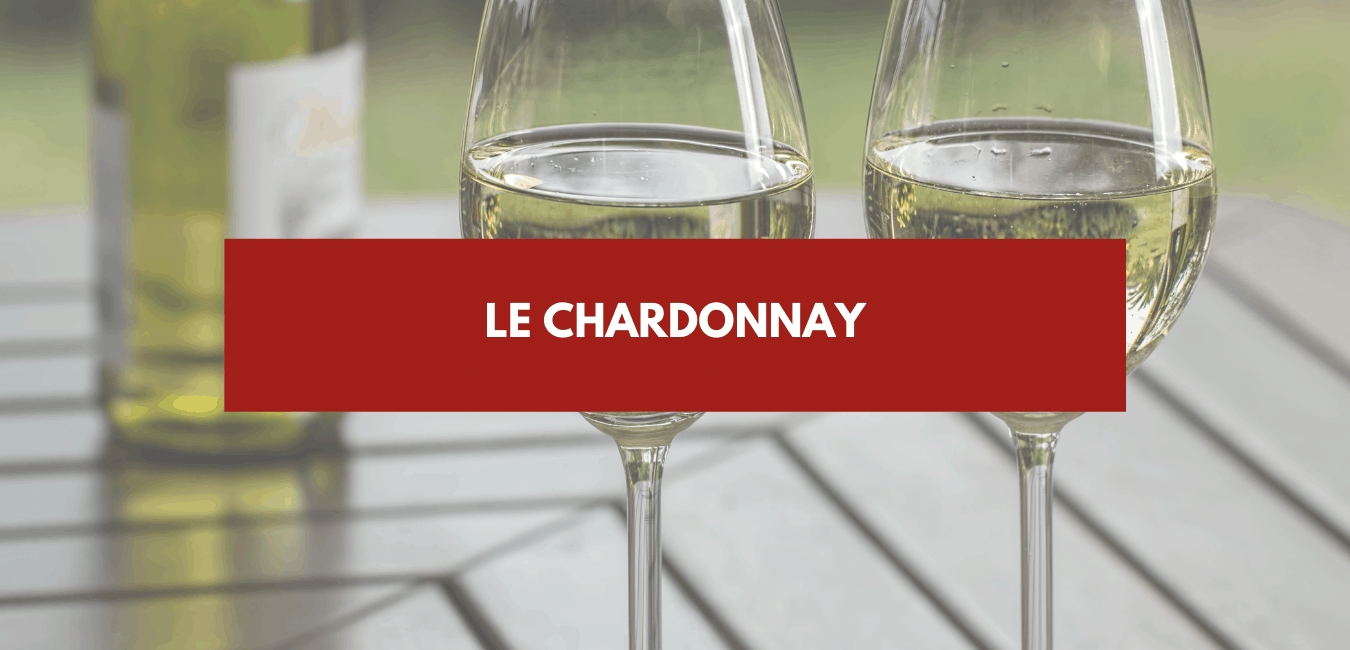 You are currently viewing Chardonnay