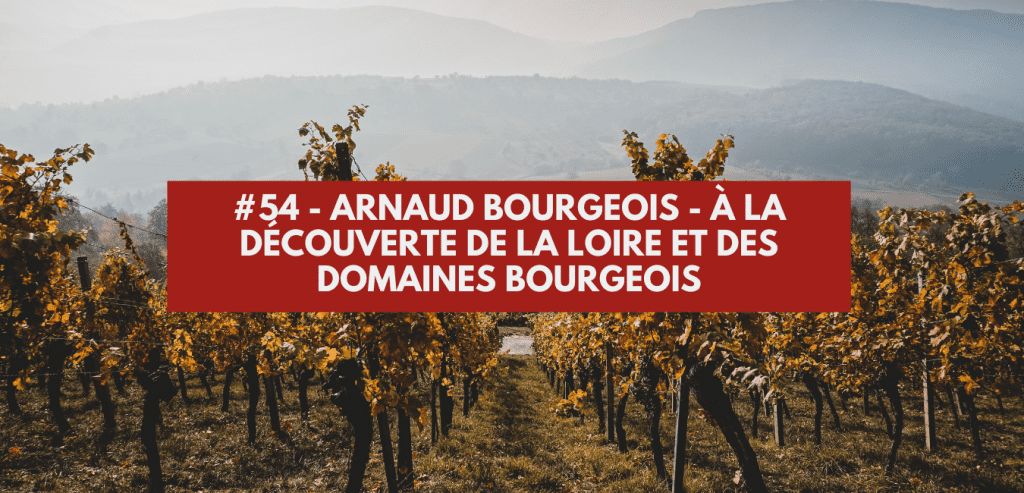 #54 - Arnaud Bourgeois - À la découverte de la Loire et des domaines Bourgeois
