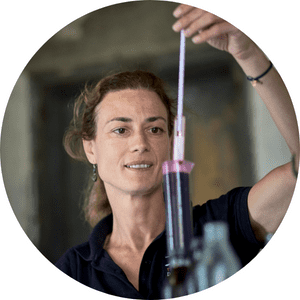 Laure gasparotto - formation vin