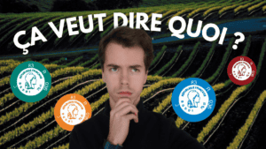 Read more about the article The capsule on a bottle of wine