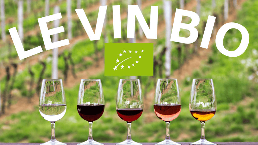 Le vin bio est-il meilleur