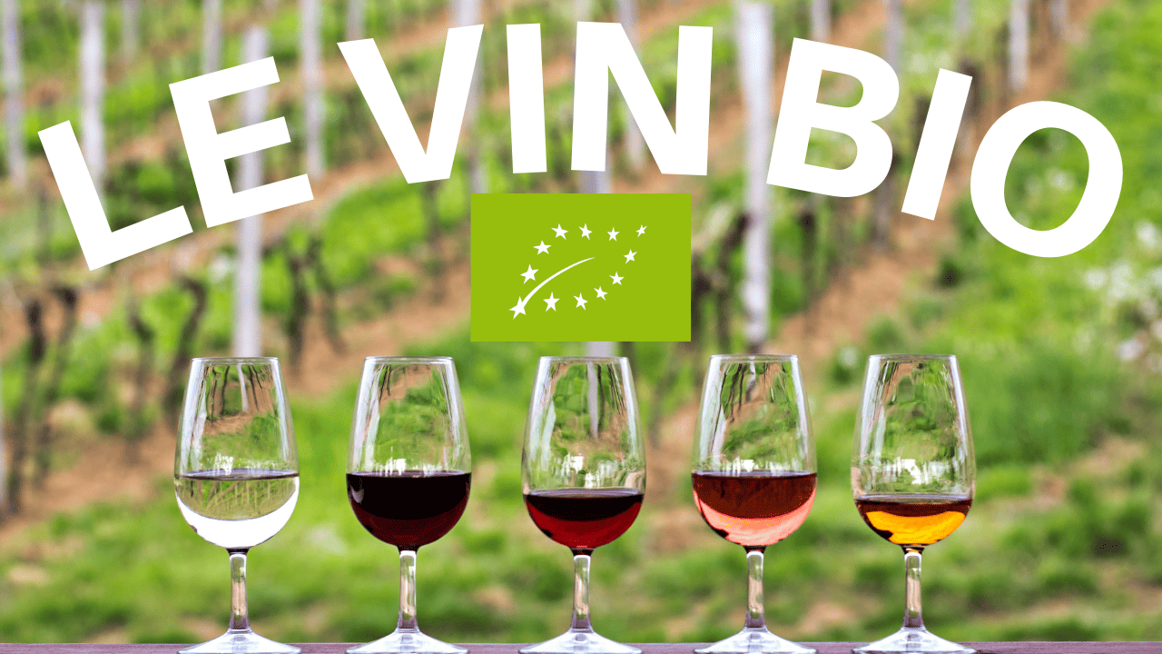 You are currently viewing Is organic wine better?
