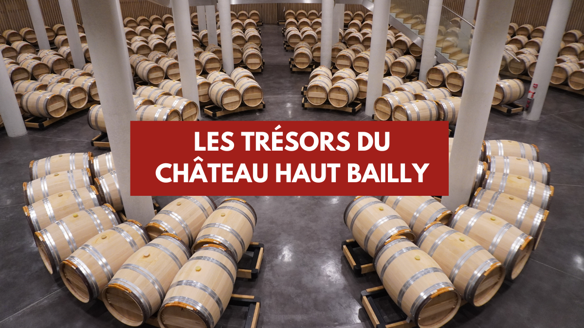 You are currently viewing Discovering Château Haut-Bailly