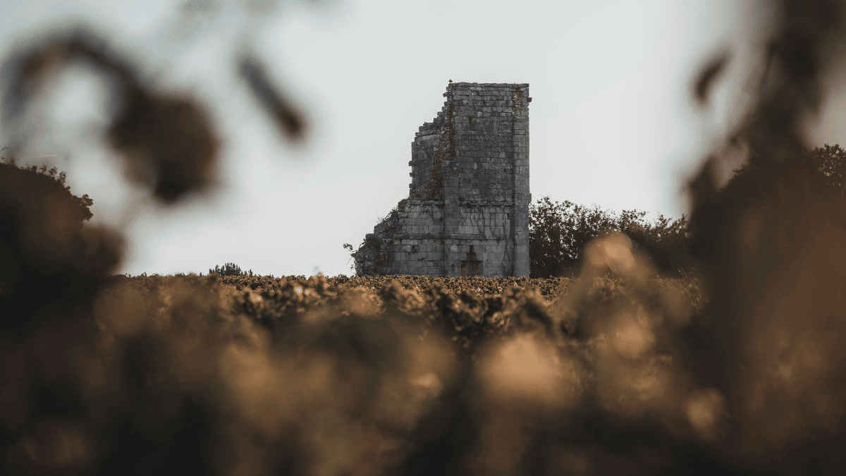 You are currently viewing Bordeaux Wine’s New Chapter: Allan Sichel on China, Sustainability, and the Future of En Primeur