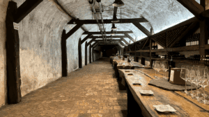 Read more about the article World Wine Tourism Day 2025: A Global Celebration Fueling Industry Growth and Cultural Heritage